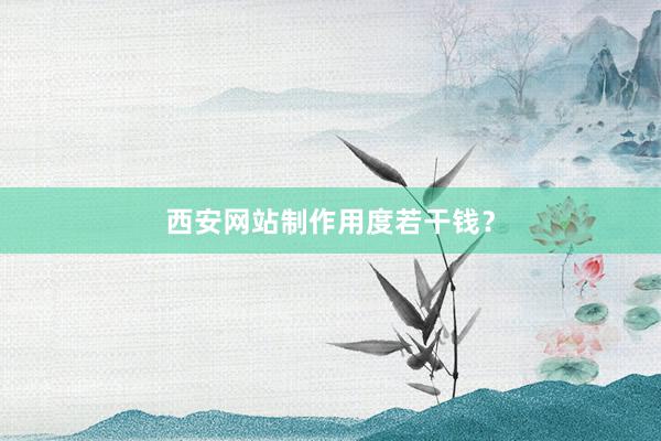 西安网站制作用度若干钱？
