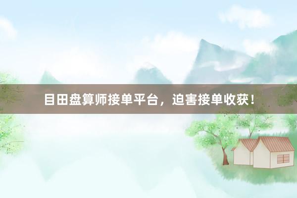 目田盘算师接单平台，迫害接单收获！