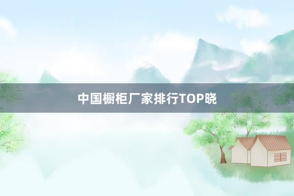 中国橱柜厂家排行TOP晓