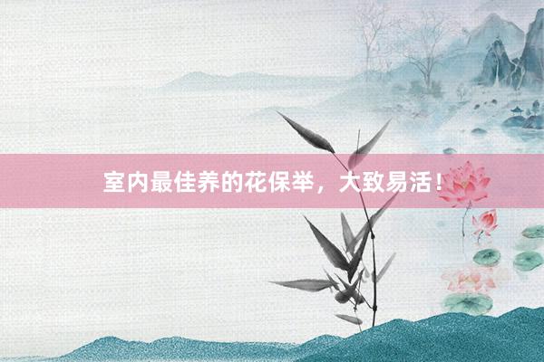 室内最佳养的花保举，大致易活！