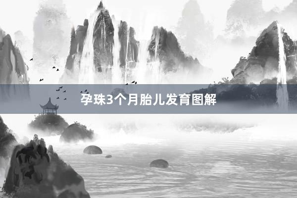 孕珠3个月胎儿发育图解