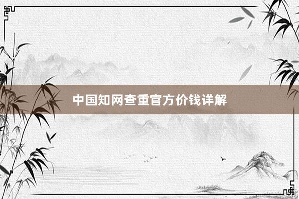 中国知网查重官方价钱详解