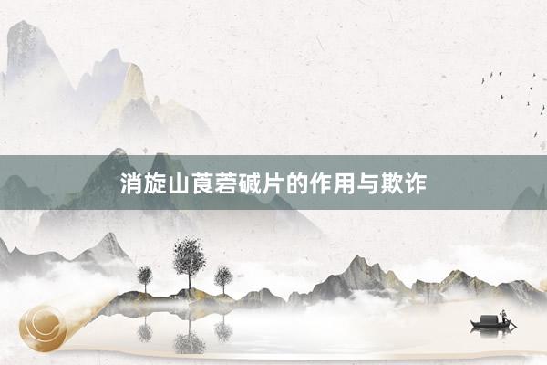 消旋山莨菪碱片的作用与欺诈